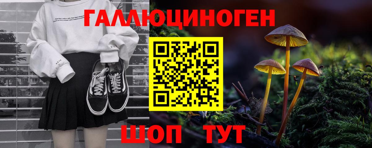 Псилоцибиновые грибы мицелий  Вход с VPN  закладки  Орск 